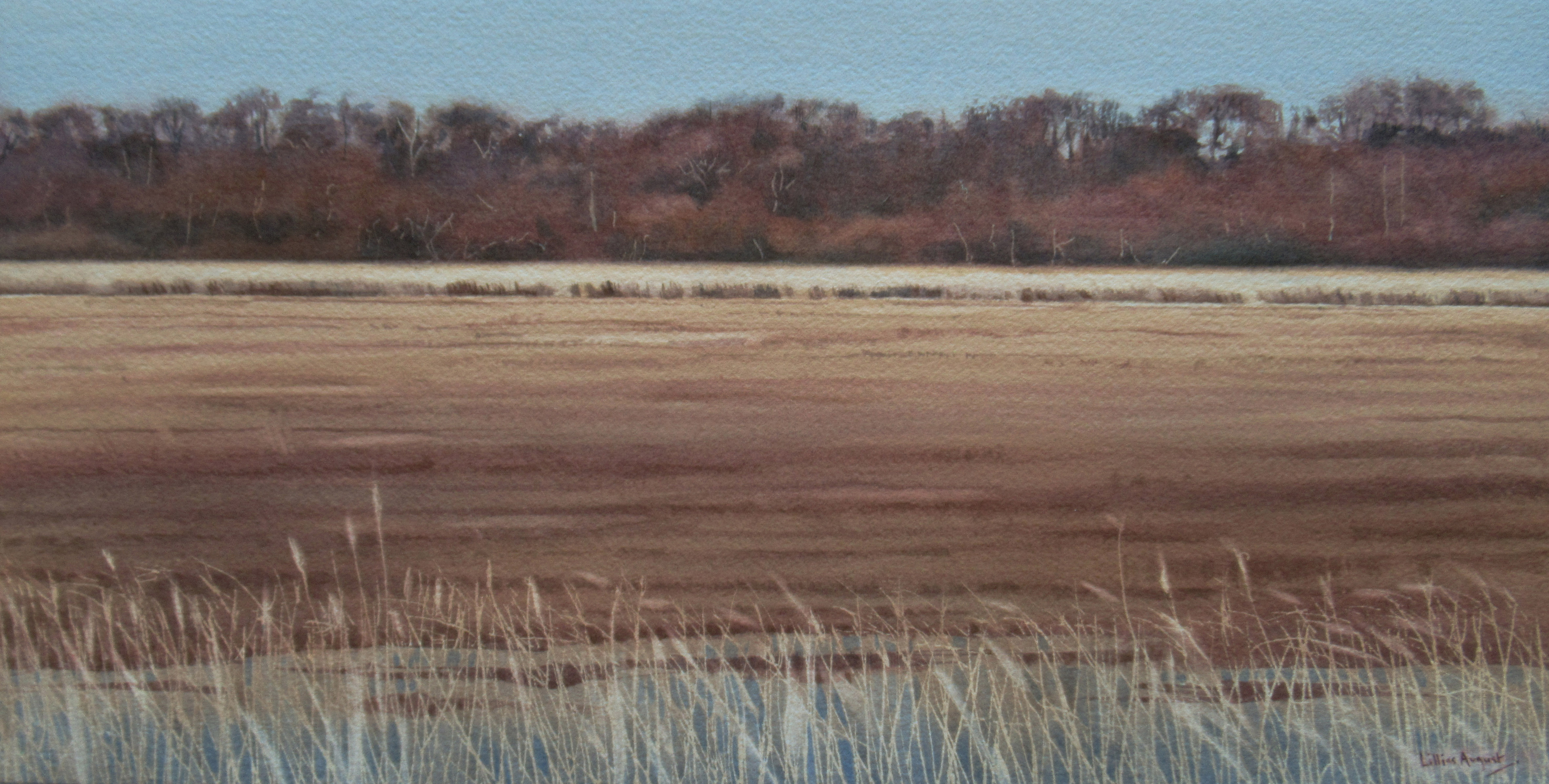 Across the reeds 22 x 43cm