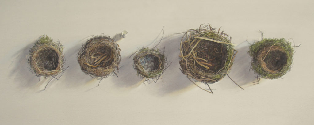 Five nests and an eggshell 37 x 93cm 
