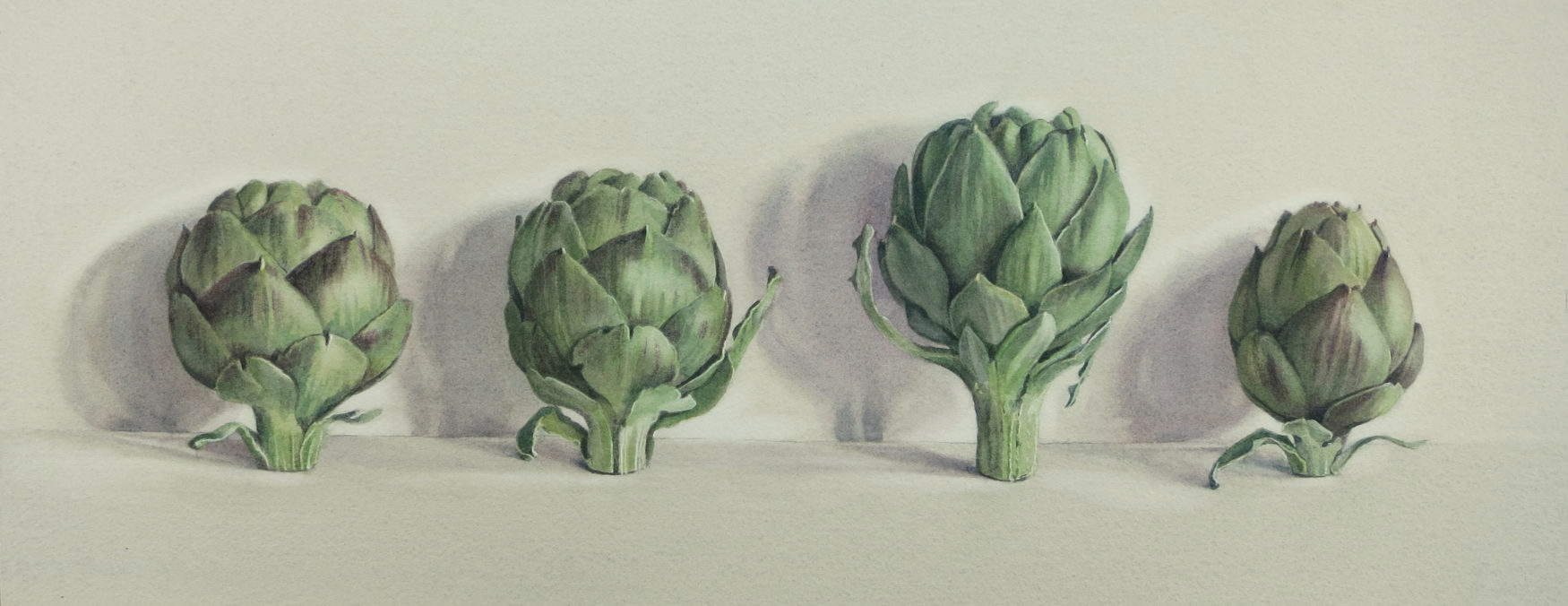 Four artichokes 18 x 46cm
