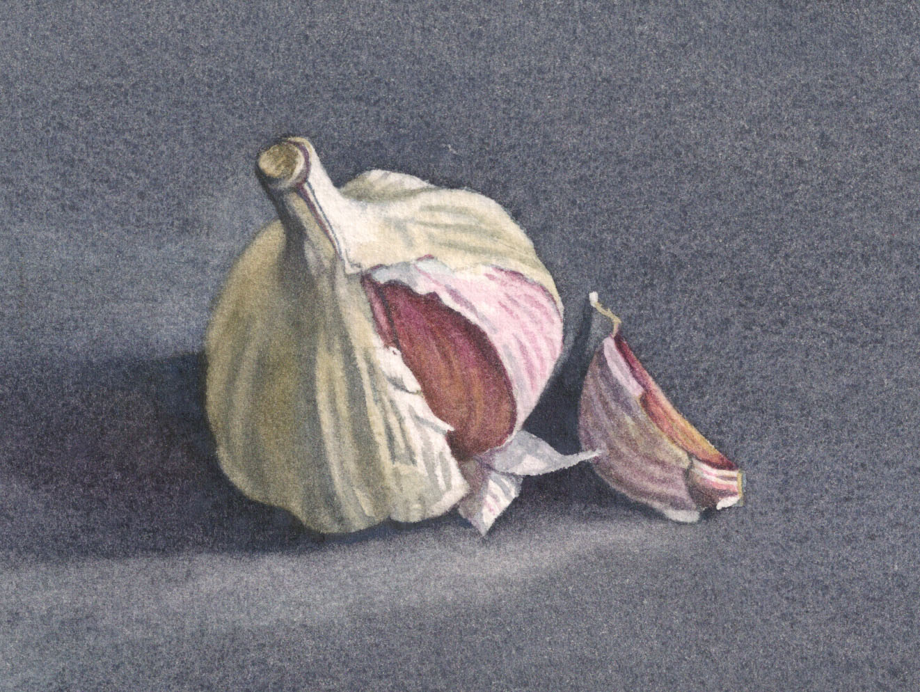 Garlic, gicleé print 6.8 x 9cm