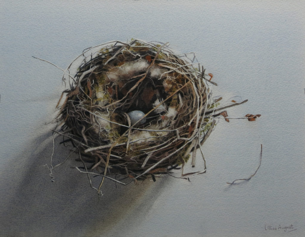Nest egg 31.5 x 41.5cm