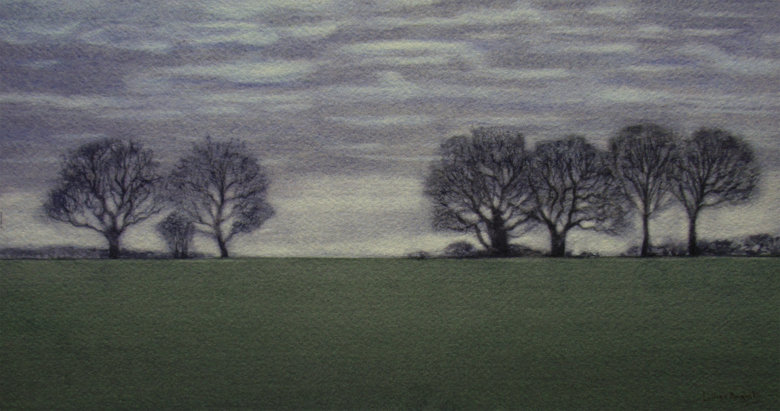 Oak ridge 18.5 x 35cm