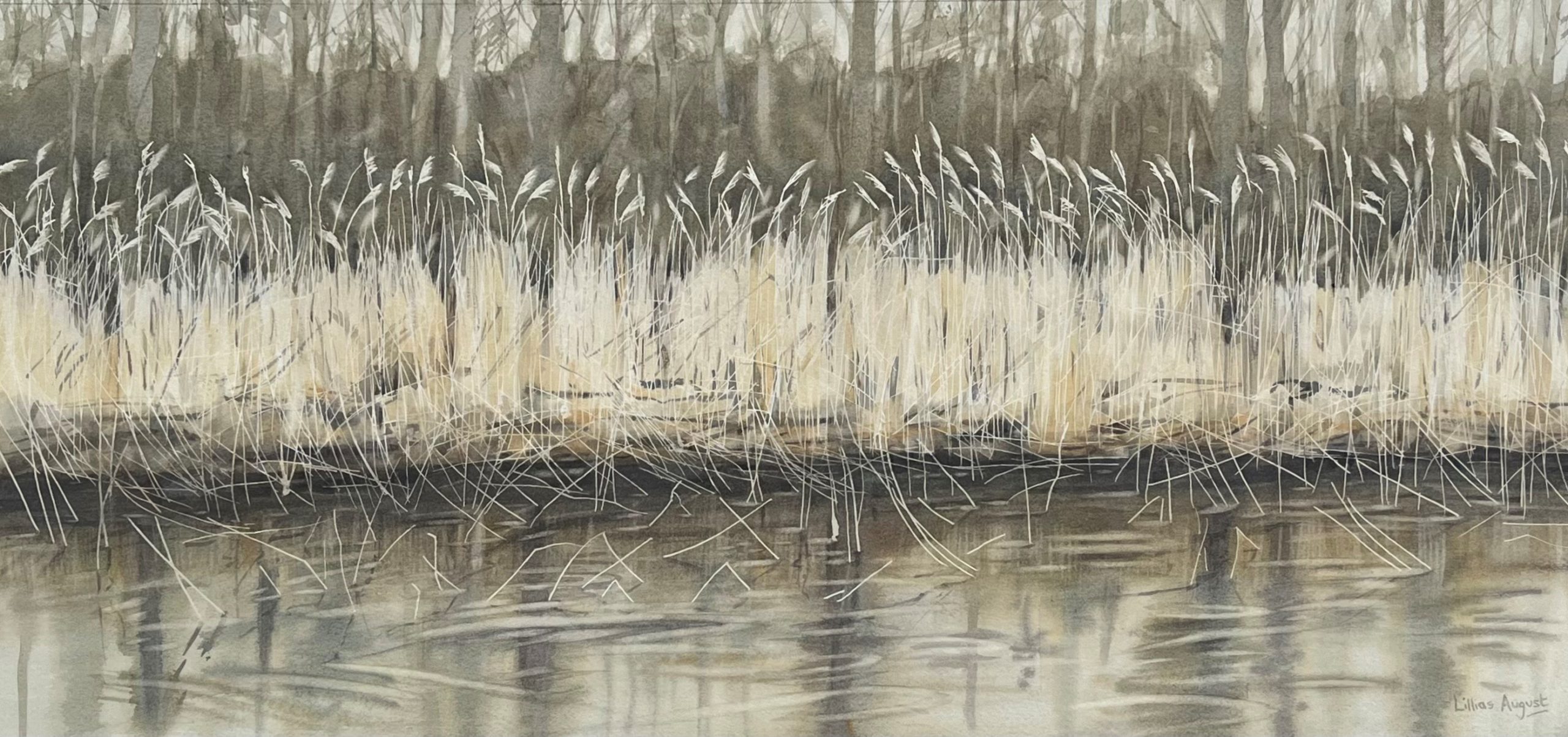 Reed edge 29.5 x 63cm