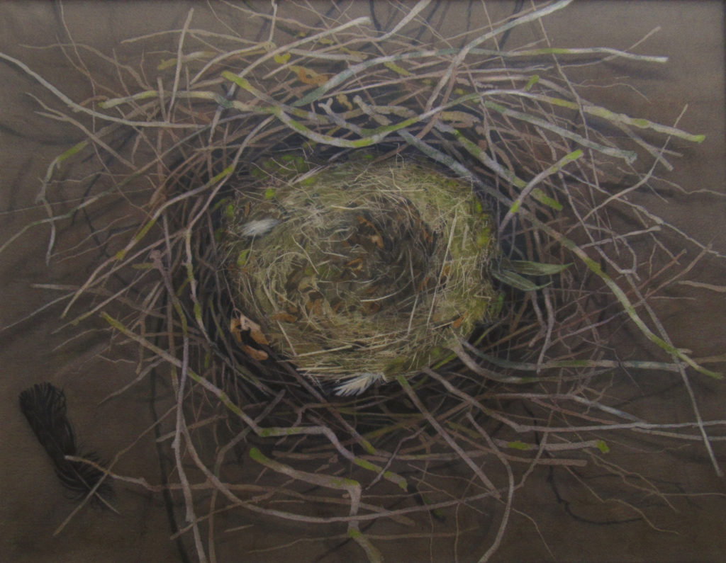 Rook's nest 70 x 56cm