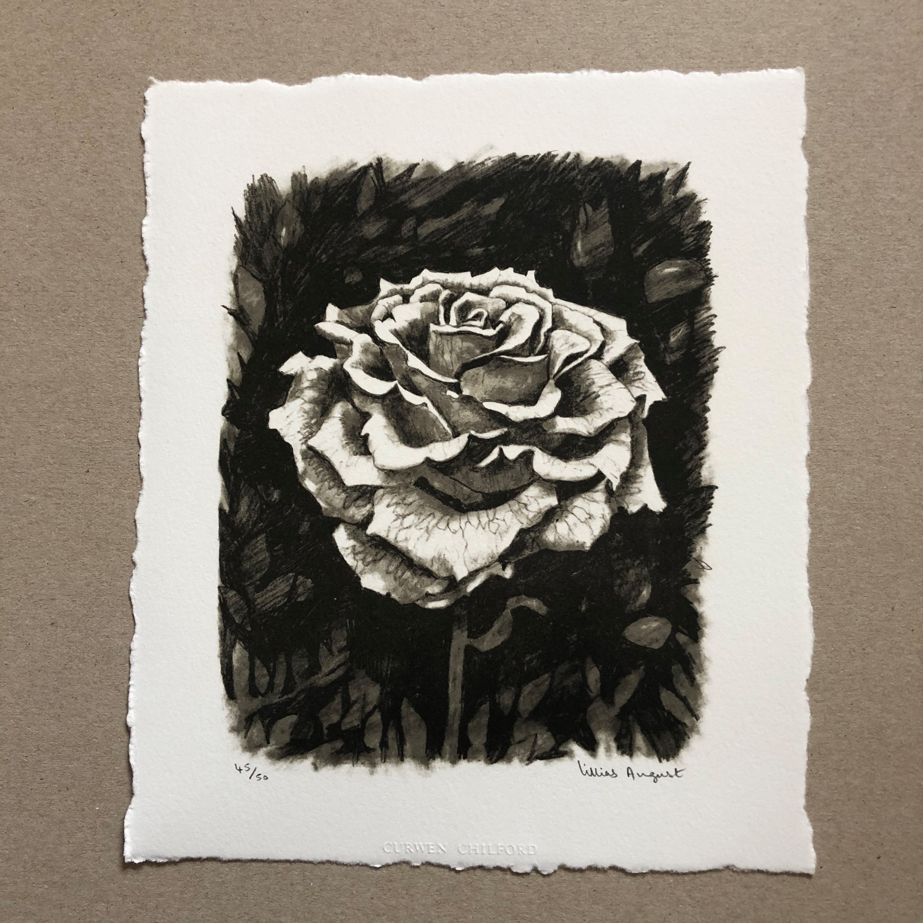 Rose 16 x 13cm limited edition print