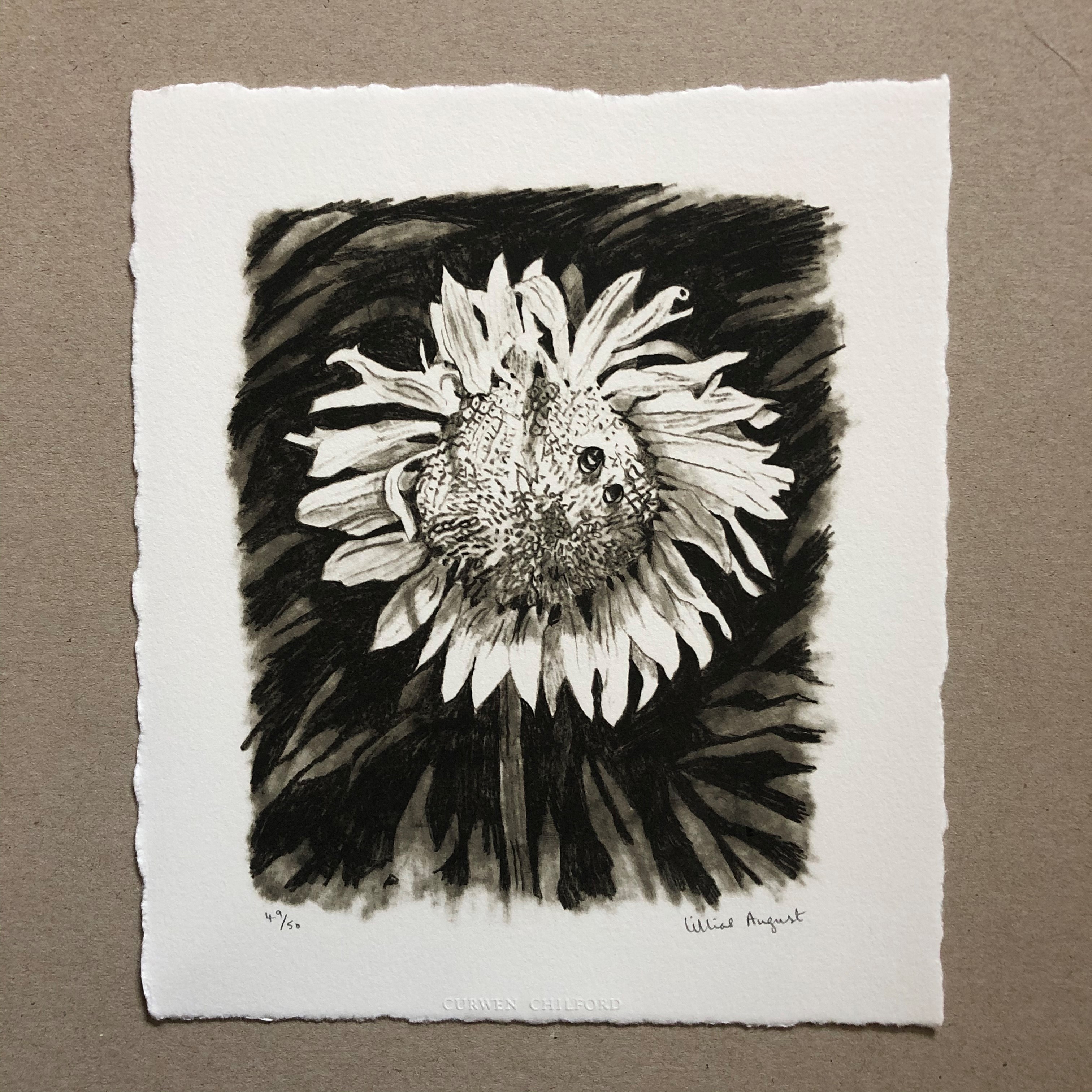 Sunflower 16 x 13cm limited edition print