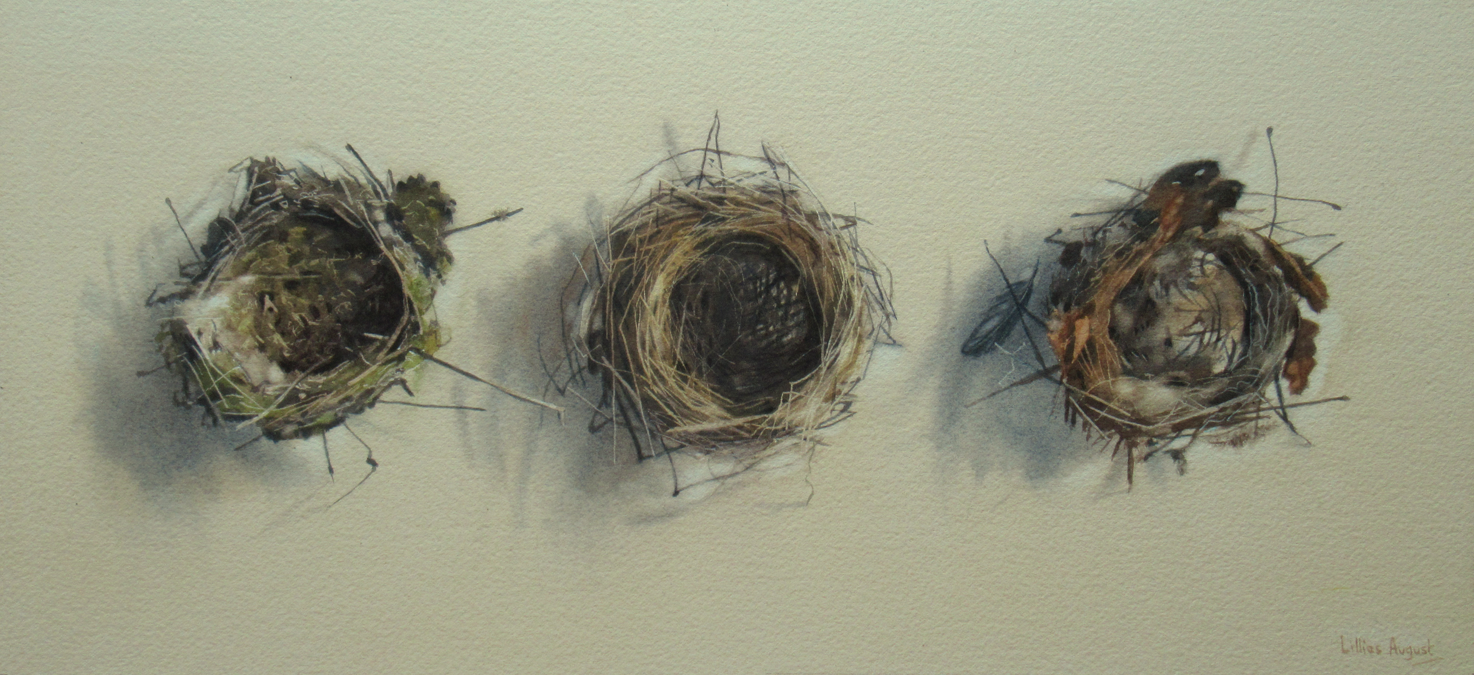 Three tiny nests 21 x 45cm