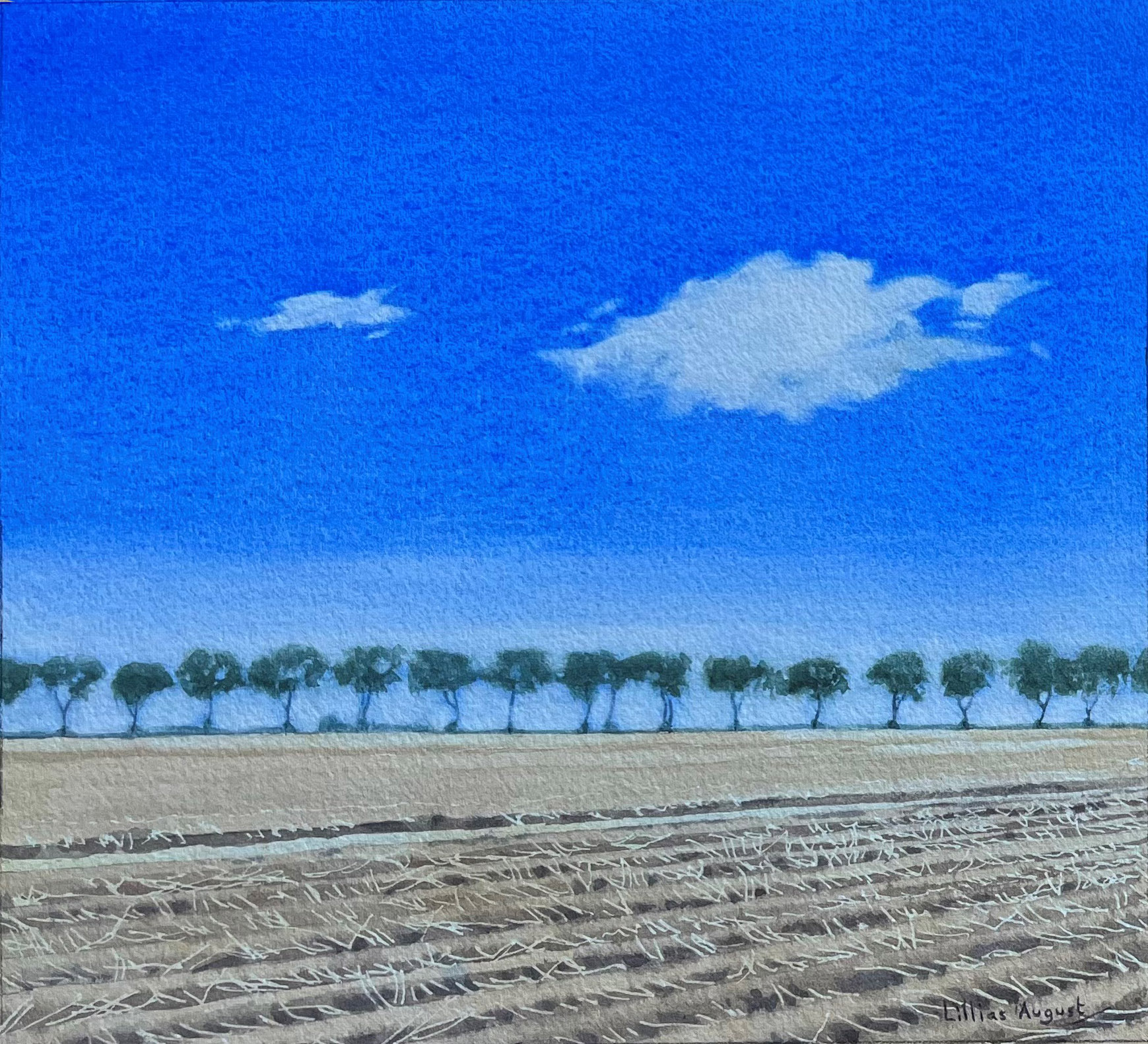 Treeline clouds 20.5 x 22.5cm