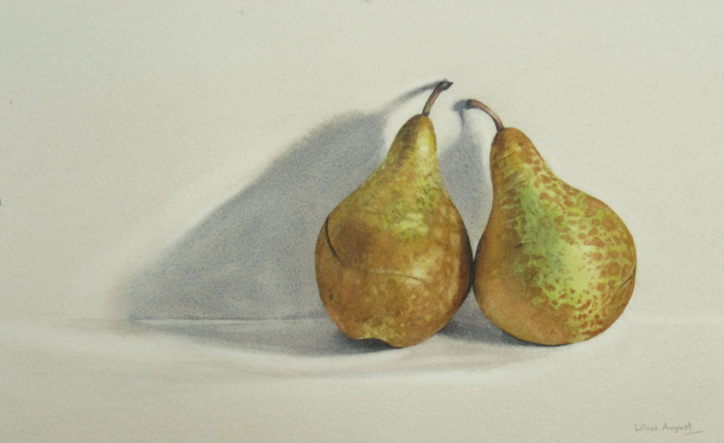 Two fat pears 19 x 32.5cm