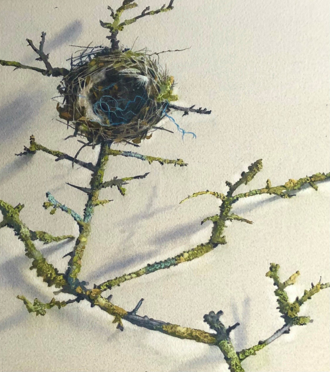 Winter's nest 29 x 26cm